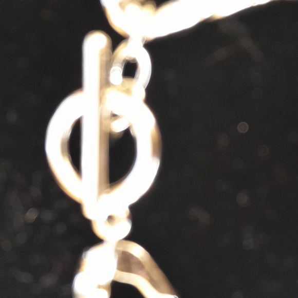 The Limited Silver Link Bracelet with Toggle Clasp - Picture 3 of 7